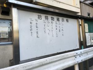 24b58a50.jpg