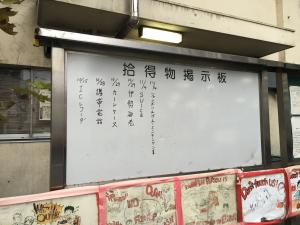 373e88c8.jpg