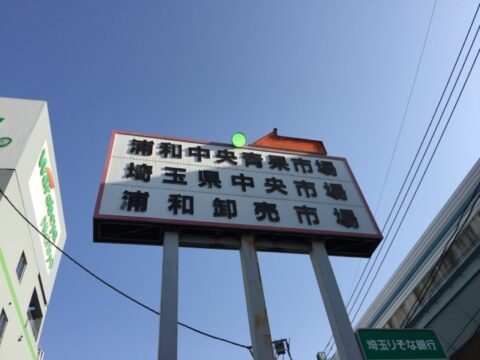 703031c8.jpg