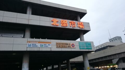 829155b5.jpg