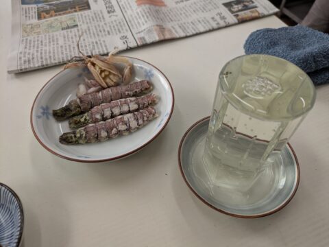 魚源食堂で朝酒スタート｜シャコと日本酒で始める名古屋柳橋の朝の一杯