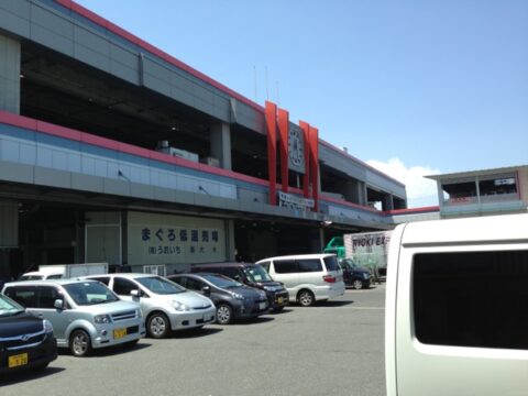 c3851d56.jpg