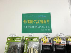 ff7e1351.jpg