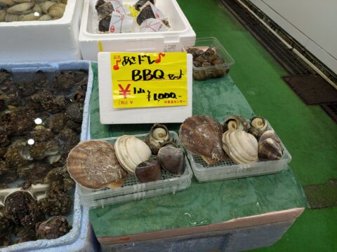 魚半のあさドレBBQセット¥1000|大あさり・サザエ・はまぐり・ホタテが入った限定セット