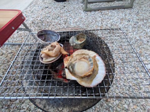 七輪でホタテとサザエを焼く|魚半の新鮮な貝類が七輪でジュージューと香ばしく
