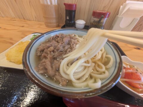 日和製麺 春日井店の肉うどんの麺リフト|出汁を纏った名古屋らしい細めのうどん