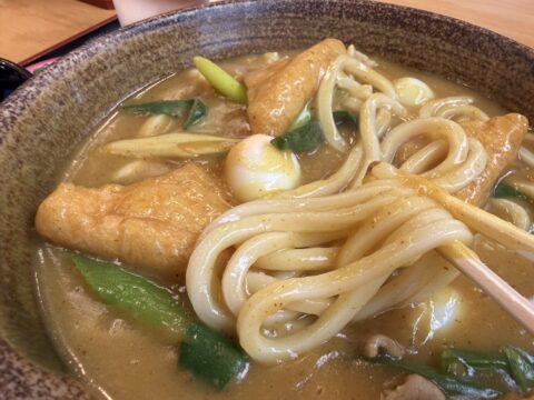麺リフト。ルーを引っ張り上げる太めのうどん