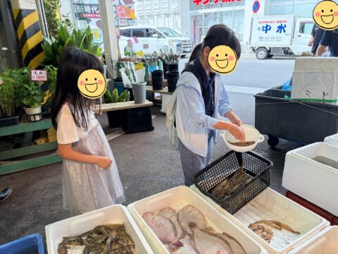 夏休みの体験学習。海老の選び方。