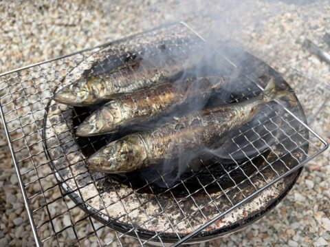 七輪の網の上で煙を上げて焼かれる鰯三尾